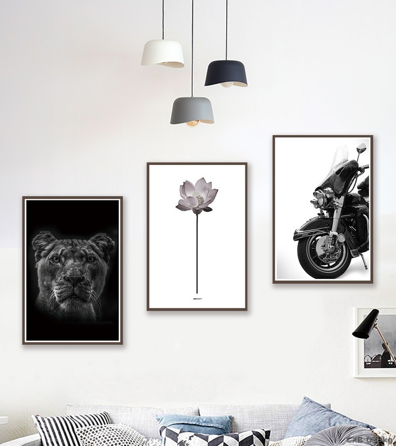 Xe mô tô - sen - Báo - đen trắng CXB-038kg